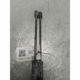 Molle a gas pistoncini dx e...