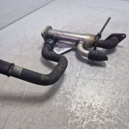 Radiatore Valvola EGR...