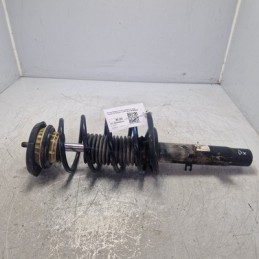 Ammortizzatore ant Dx...