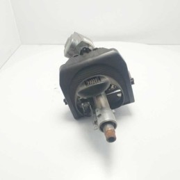 PIANTONE CANNA STERZO...