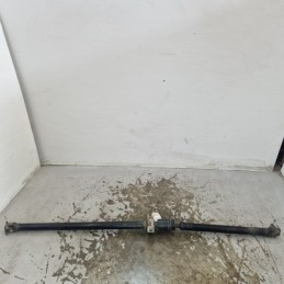 Albero di trasmissione...