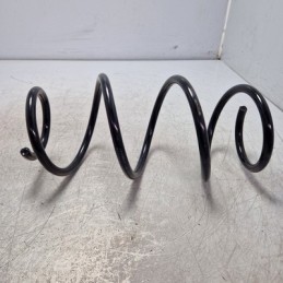 Molla ammortizzatore...