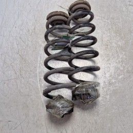 Coppia Molle assale ponte...