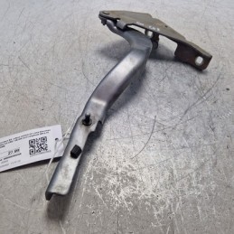 Cerniera SX cofano motore...