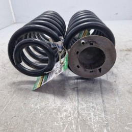 Coppia molle a spirale...